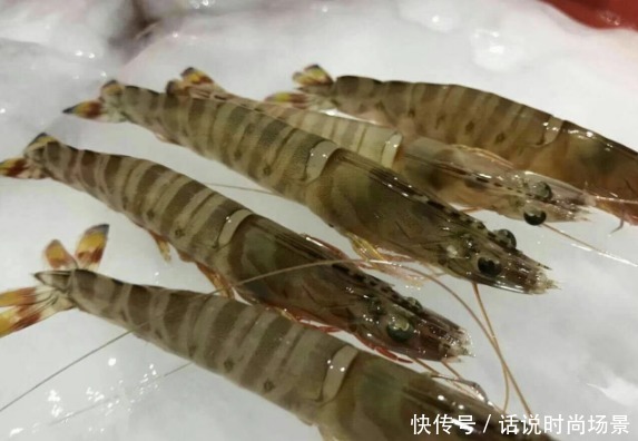 实用|基围虾和明虾区别很大,你分得清楚吗知道后再不怕被坑,很实用
