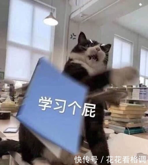表情包第六期,这知识它不进脑子啊