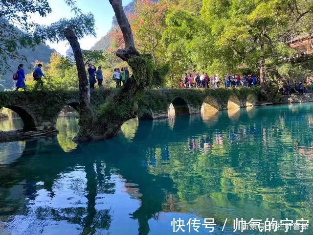 秋韵#【七绝·秋韵】清风伴我不孤行,晨起轩窗有鸟鸣