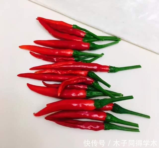 油桶|家里的油桶别再扔,比花盆还好用,养花种菜是神器