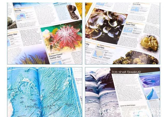 恐龙世界@DK图书大盘点第一季:少儿百科类