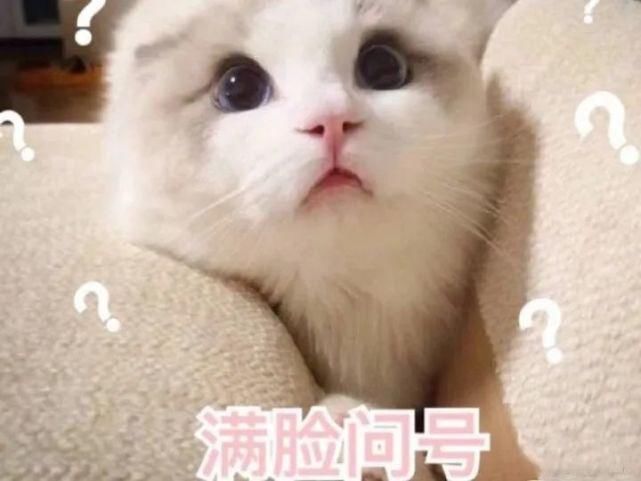  恶心别人吃过的饺子拿来二次销售，饺子上还有咬痕