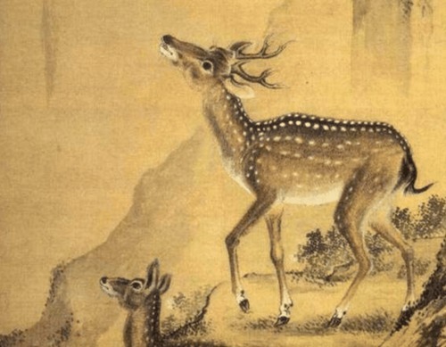 敌国|宰相:花钱把敌国的鹿都买过来,就能不战而胜!结果字字应验