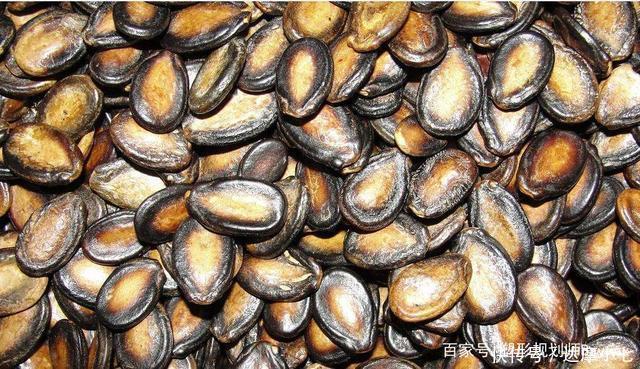 营养物质|家里有老人失眠的,1种叶子煮茶5分钟,养心助眠,睡得舒舒服服