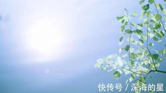 桃花|7天后，桃花旺盛，月老牵线，牵手真爱，携手与共，美好就在眼前