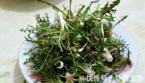 药用价值|农村风吹满天飞的野草，人称“尿床草”，是中药材的八大金刚之一