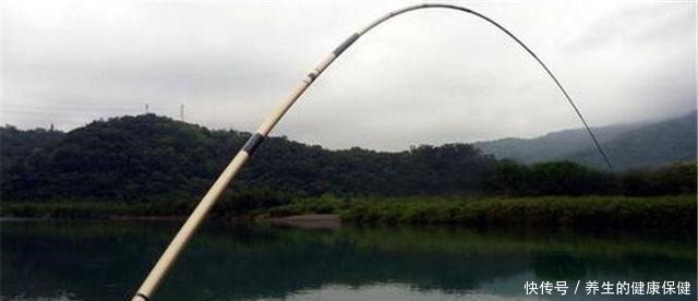 阈值|想要钓大鱼不爆竿,就别只盯着鱼竿顶钓拉力值,调性才是最关键的