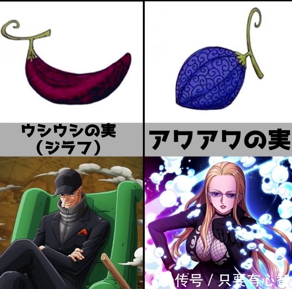 海贼王|《海贼王》恶魔果实,你最想拥有哪种?花花果实最漂亮