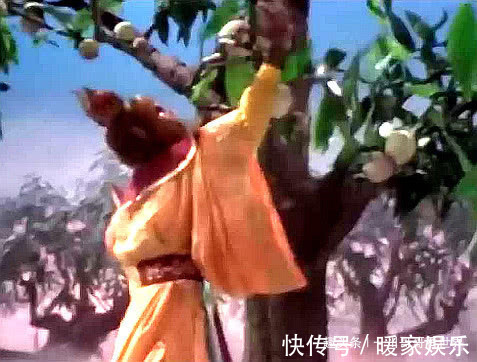 蟠桃|为啥孙悟空吃蟠桃只咬一口就扔桃子放大后明白了，真难为猴哥了
