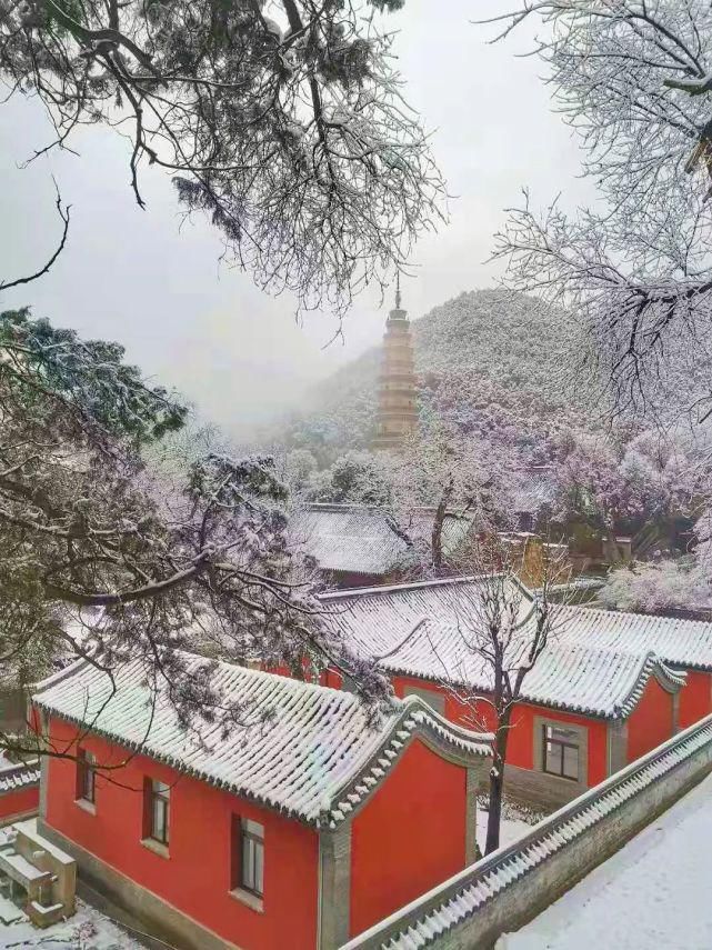 美到犯规，一步一景，济南几处古风雪景地，第一眼就让人倾倒！