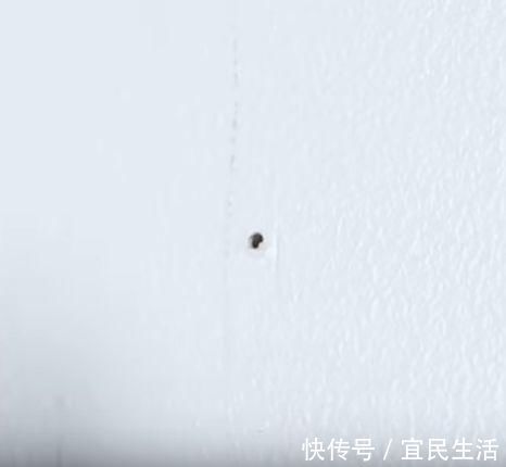 贴画|墙壁脏了不用重新粉刷,学会这几招,洁白如新~