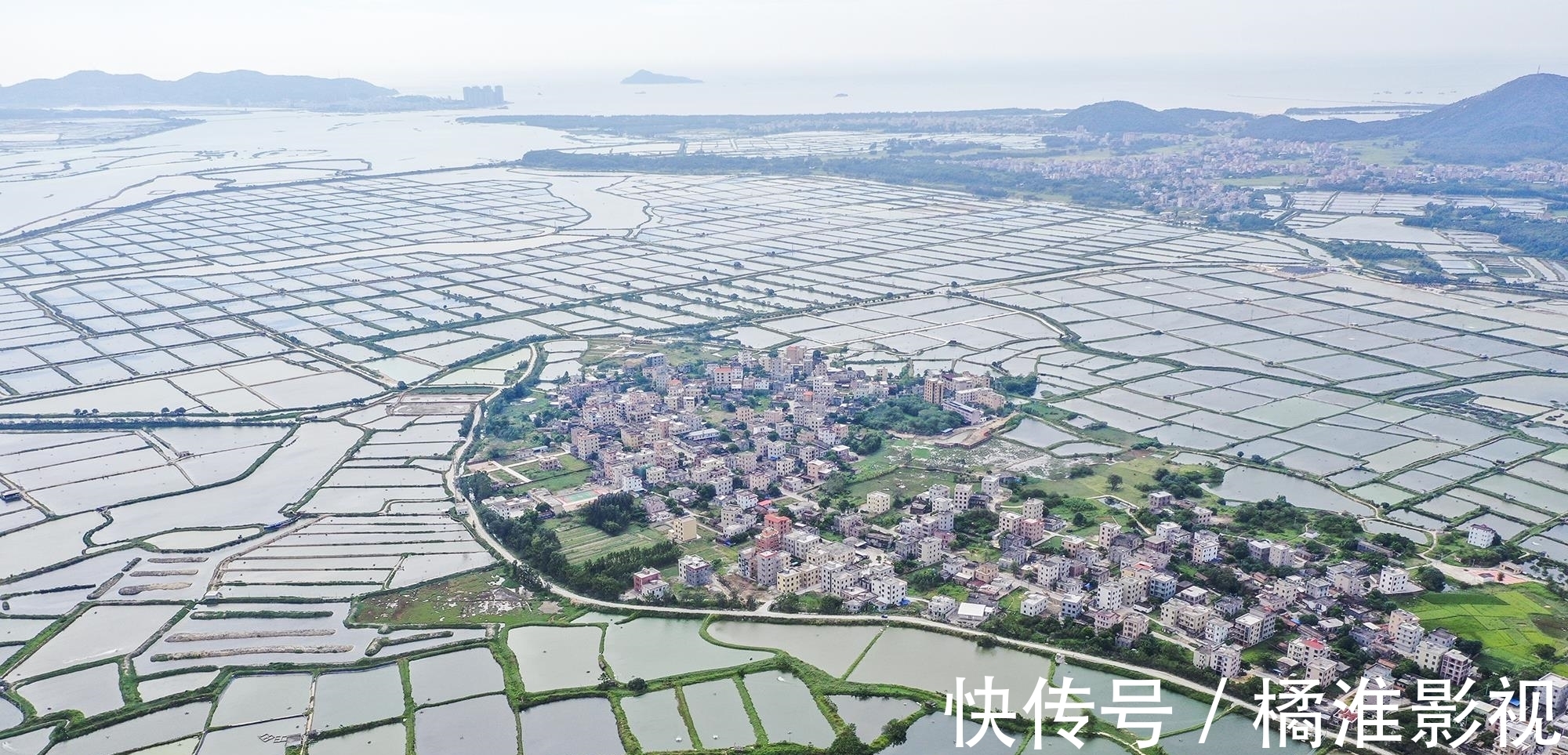 展馆|广东阳江有座不起眼小村庄，村里收藏了一幅牌匾，从不轻易示人