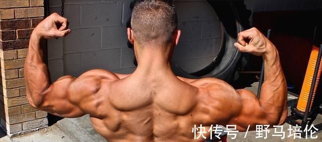 训练|那些“总是被忽视”的背部动作，实际上是你变强的秘技！