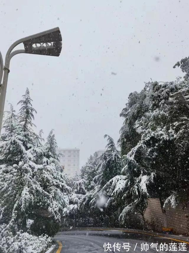 雪景|惊艳！平凉迎来入秋第一场雪，刷爆朋友圈！