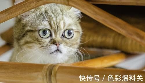 |幽默笑话:孩子考了倒数第二,老婆回家训斥半天还不让吃饭