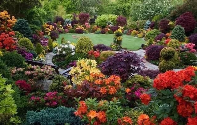  绝美|7旬夫妻用27年建绝美花园，全球花友慕名来“探花”