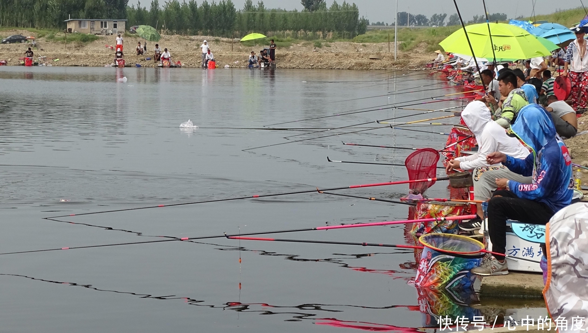 春天钓鲤鱼,气温多少度最合适?鲤鱼每天开口的气温和时间段