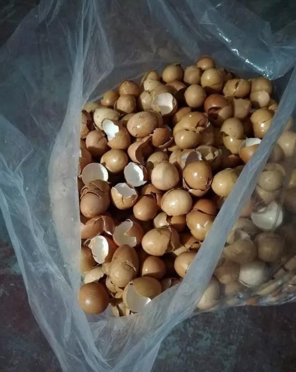 爆盆|养花不开花？自制“开花肥”，浇盆里猛开花，不用花钱买