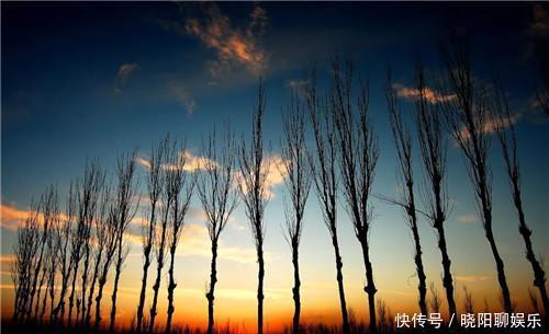 课本上罕见的7个汉字,在日本很常见,很多人读错了,不信你试试