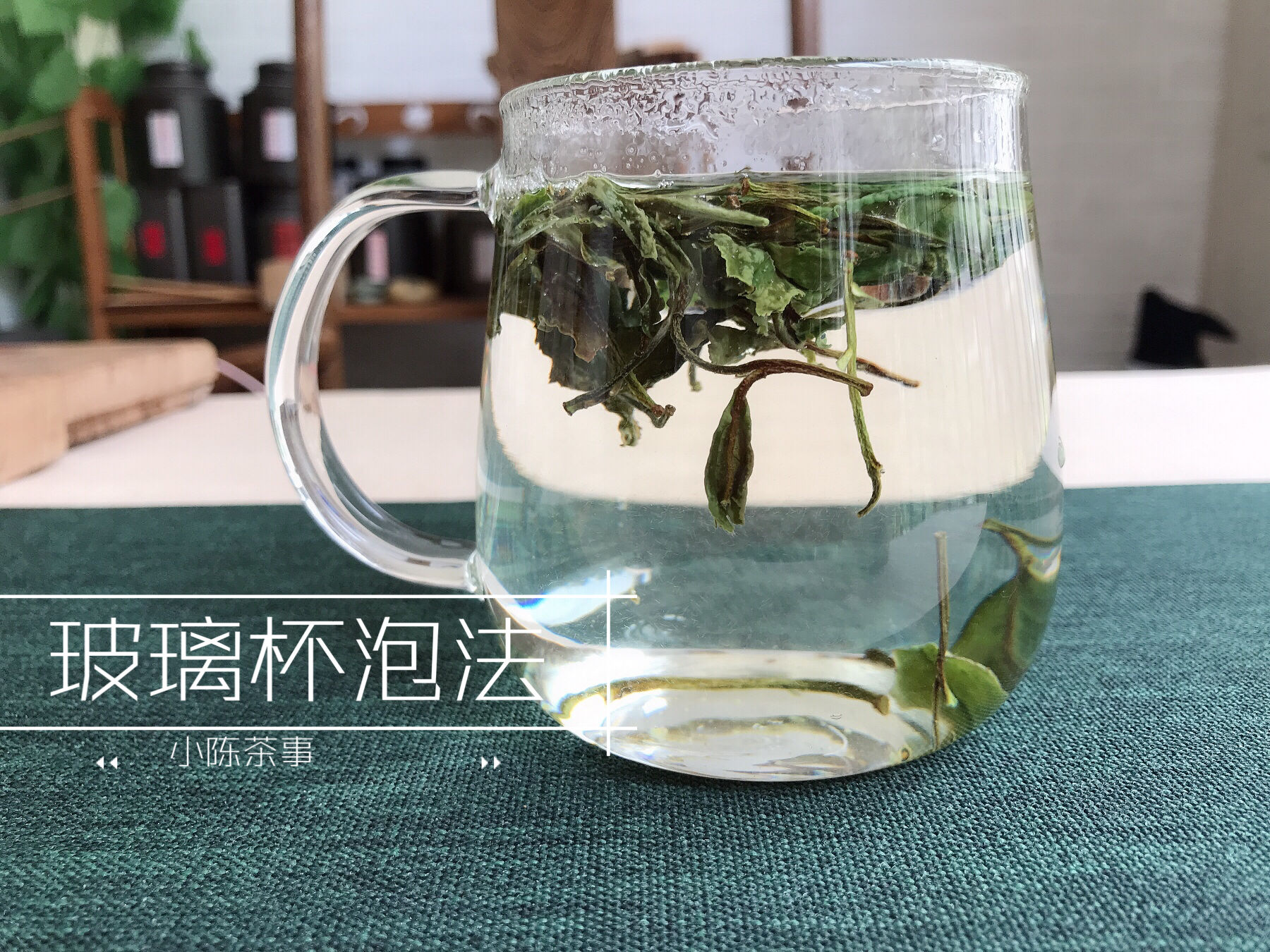 普洱|绿茶玻璃杯泡，白茶盖碗泡，普洱紫砂壶泡，这是冲泡固定公式吗？