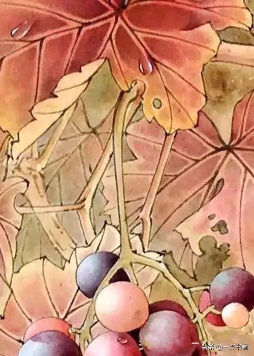 工笔#《葡萄秋蝉图》工笔绘制步骤