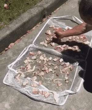 |【搞笑段子】摩托归我了,其它你随意。