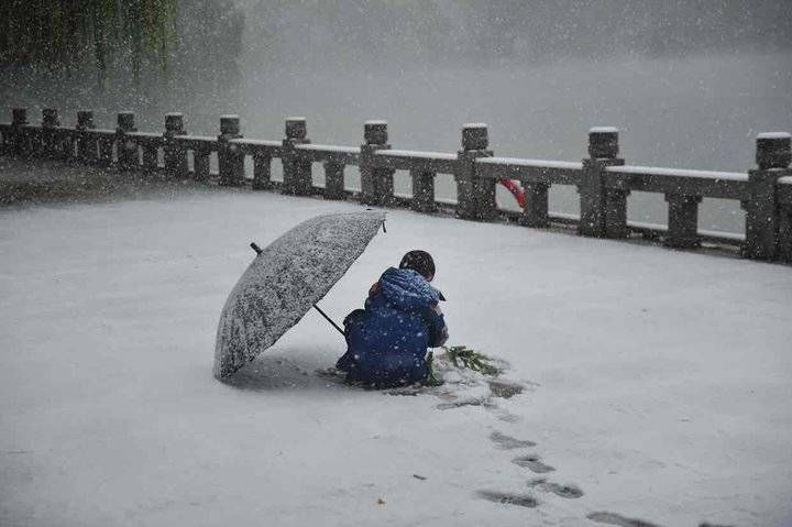 暴雪|当立冬与暴雪相逢，当秋天与冬天相遇