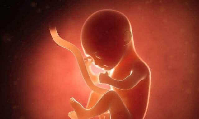 宝妈|8个月孕妈做产检，医生看到画面都笑了，孕妈：出生看我不收拾你