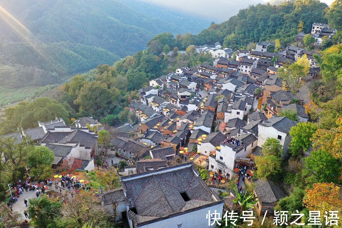 桕坑村|古村改造的标杆，乌桕树成了摇钱树，赏秋胜地闻名全国