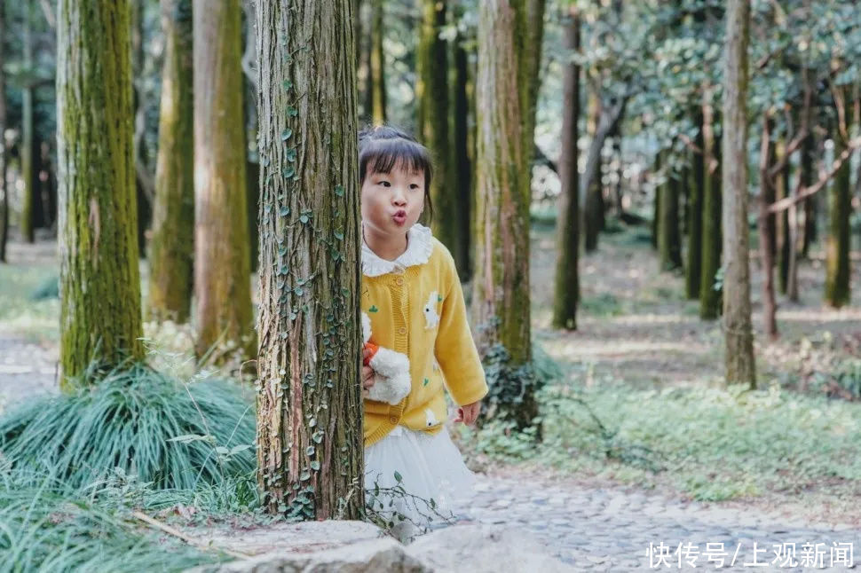 沙滩|穿越时空、漫游仙境、徜徉花海……在金山还可以这样玩