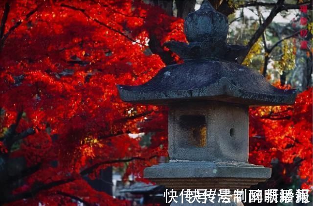 释文珦#诗僧笔下的秋天,不仅有最美的秋色,还有浓浓禅意,令人回味无穷