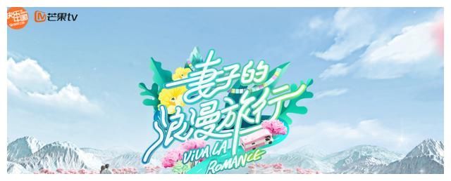 秦海璐拔掉一身“刺”，刘涛大秀“凡尔赛”，妻子5究竟是啥节目