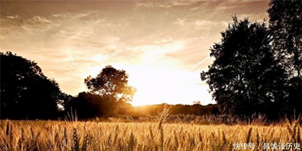 鸣蝉|辛弃疾一首《西江月》,写出了乡村夏日夜晚景象,农村孩子都见过