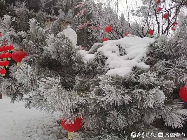 雪窝子|济南“雪窝子”迎来虎年第二场降雪，雾凇奇观再现