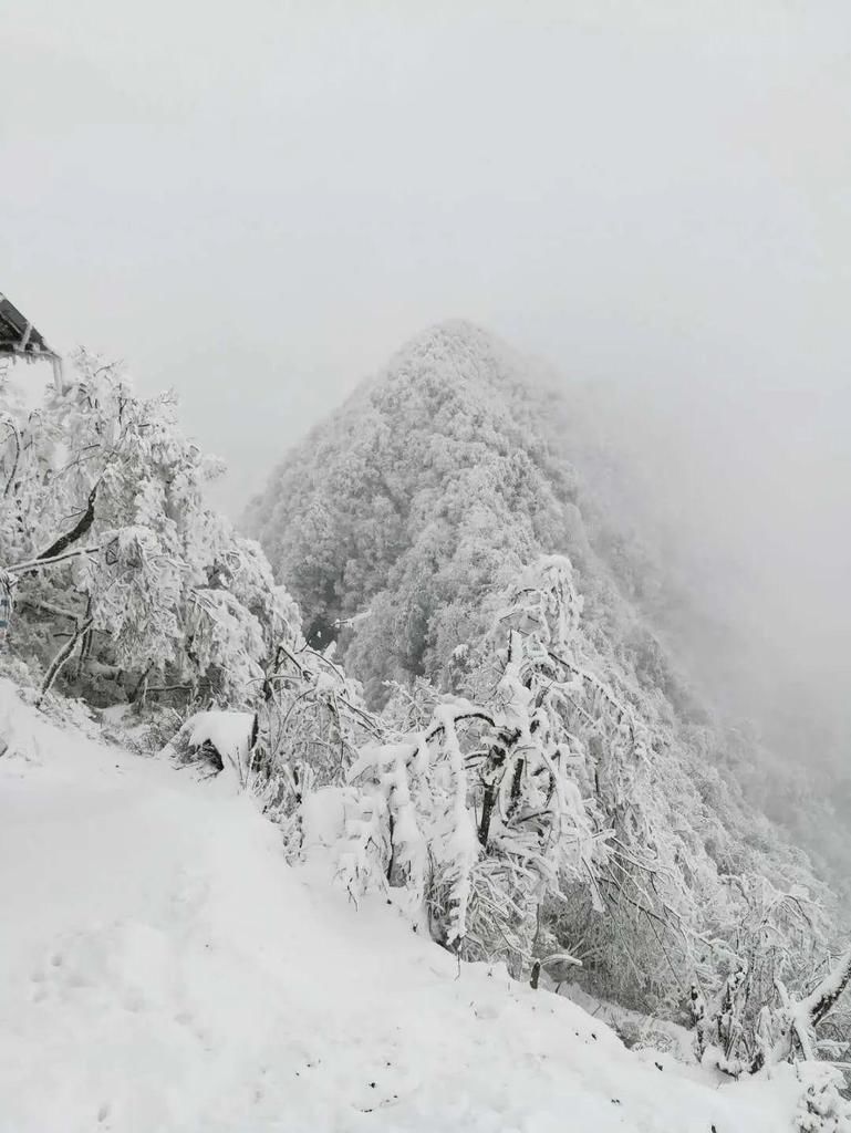 地方|汶川下雪了！这些地方，你最想去哪个？