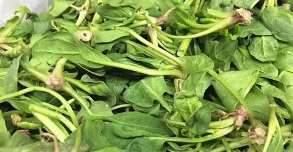 食物|养肝护肝吃什么?这碗汤被称为“护肝王”,坚持吃,肝或慢慢变好