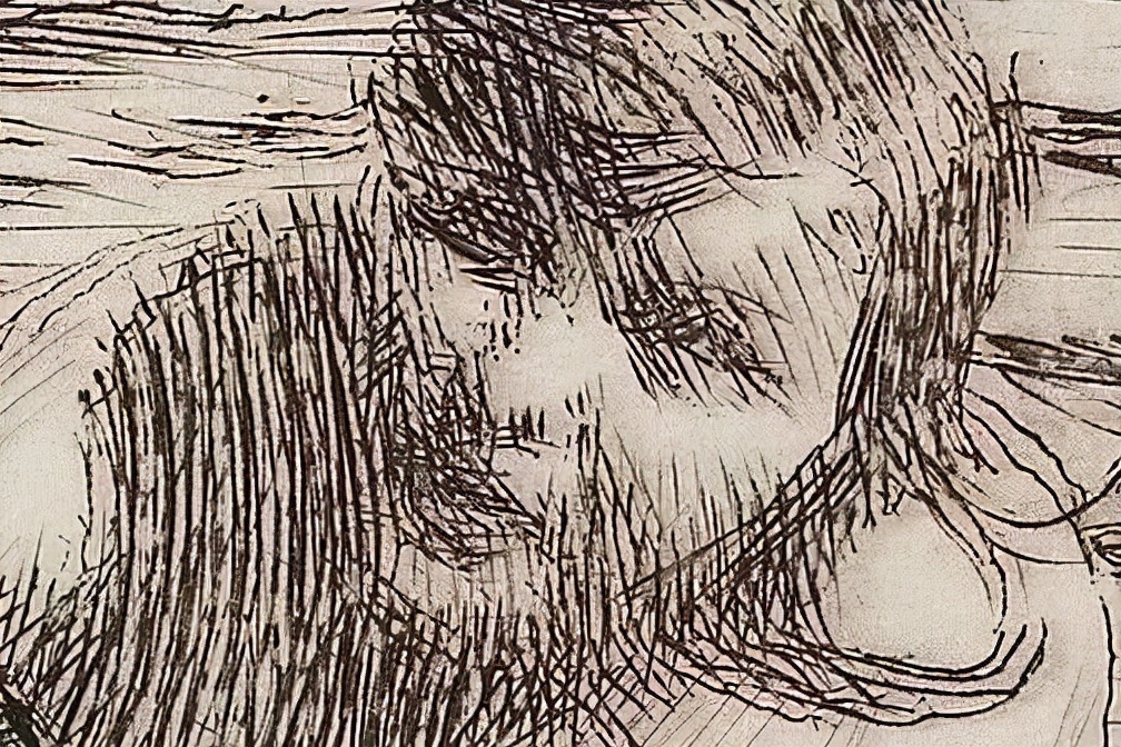 素描$20世纪初北欧著名素描大师,寥寥数笔就能捕捉到人物的神态,被誉为“线条的指挥家”