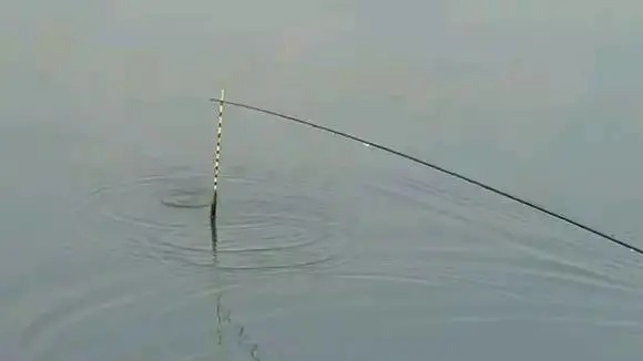 双钩半水调漂技巧全解析，熟练掌握，钓起鱼来轻松不少！