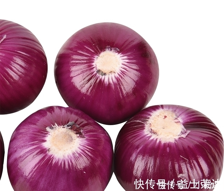 差距|洋葱到底买紫皮的还是白皮的?原来差距在这里,别再买错了