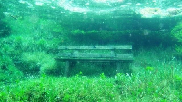 全球最“任性”的公园：一年只现身3个月，一言不合便藏入湖底！