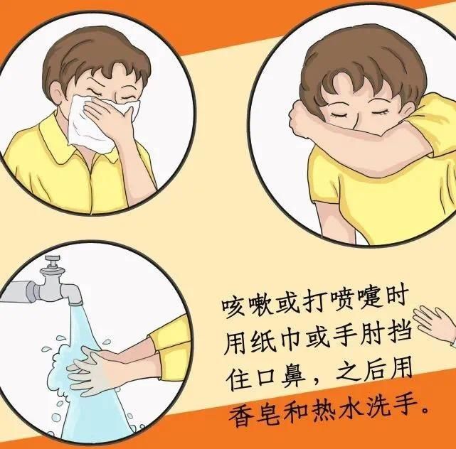 买年货这件事，简单5招就拿捏好了！|动静健康 | 生禽