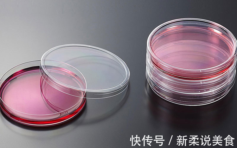 细胞|注射一针疫苗，就能杀死身上所有癌细胞，这种理想离实现有多远