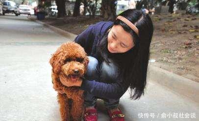 贵宾犬最容易患的5大疾病 你的狗狗有过没 快资讯