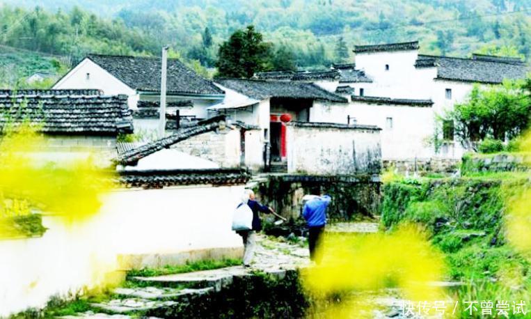 青檀树|中国宣纸制造技术被觊觎?日本盗走后仿制赝品,中国市场被抢占!