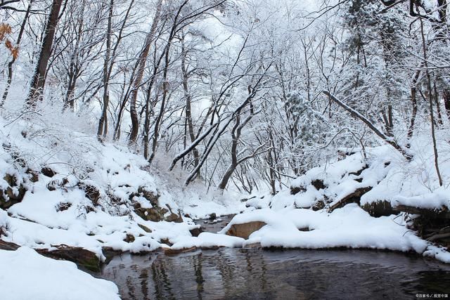 琼英！雪景诗词14首:疏影横斜雪拥时，枯茎不语尽情持