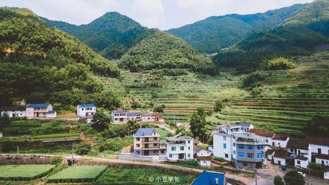 自驾游|周末自驾游，走进遂昌森林氧吧，夏日避暑之地