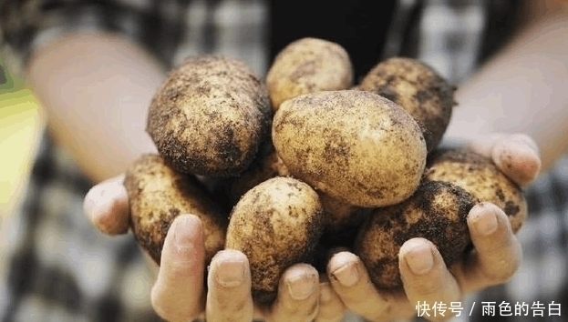 食物|女人不用节食减肥, 平时多吃这几种食物, 小肚子没了
