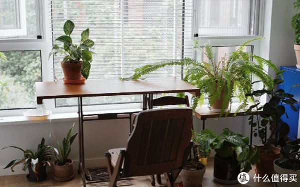 干净|房子住了3年,80后阿姨的家“干净如初”,参观她家,我也学会了