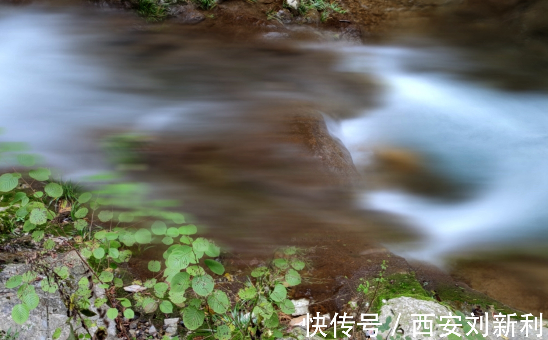 后湾村|赏商南后湾村 阳城驿 金丝峡美景 品鉴泉茗茶宴 商南小吃宴 金丝十三花