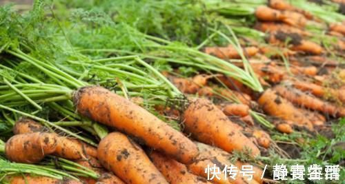 莲藕|菜市场卖的胡萝卜为啥都那么干净？菜农“说漏嘴”！